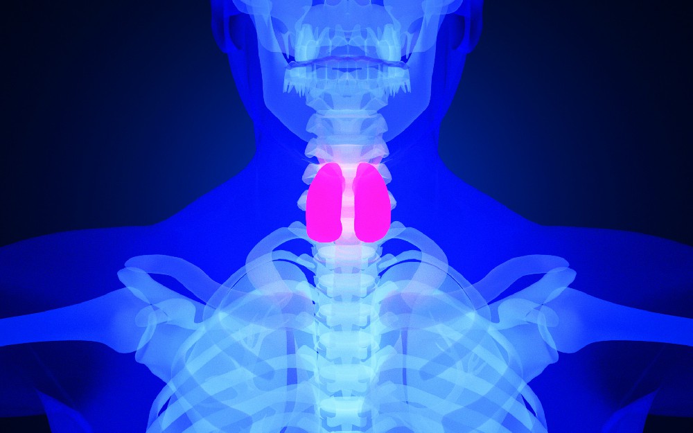 程文主任：如何预防甲状腺癌？