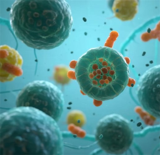 免疫细胞.png